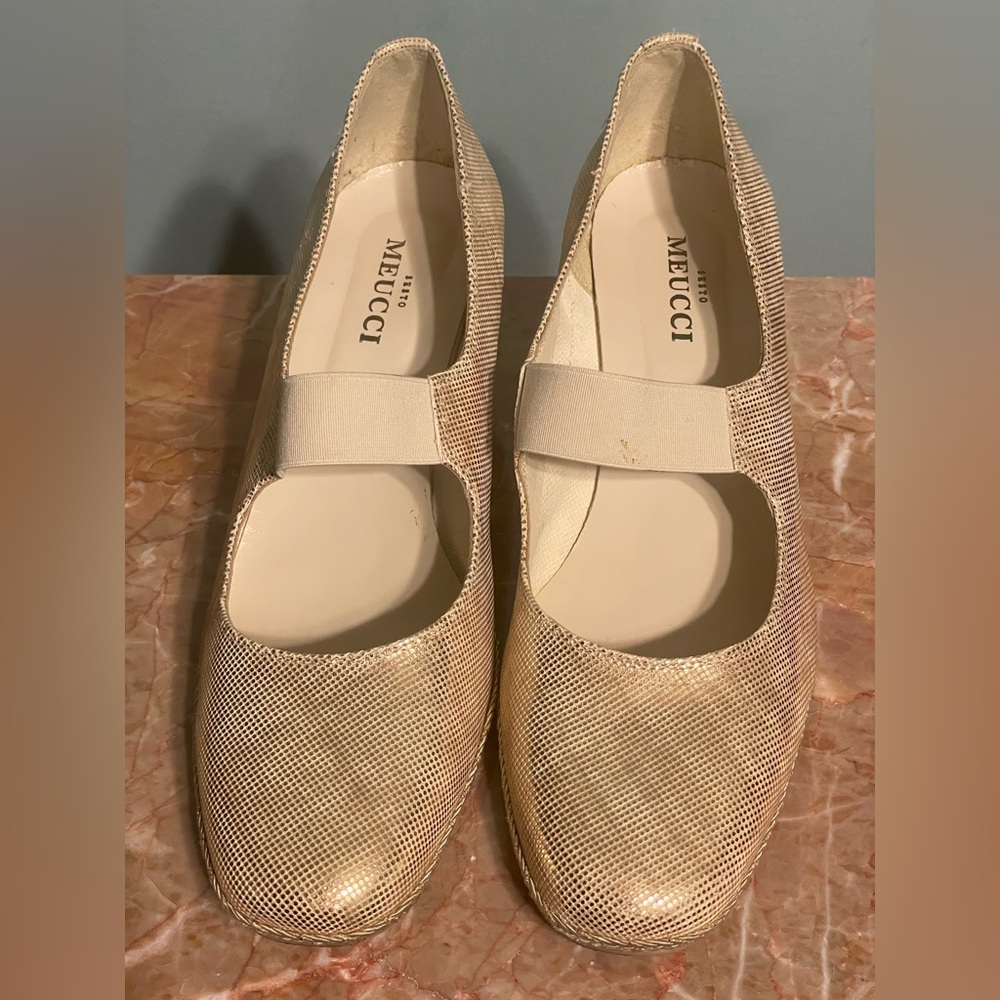 Sesto Meucci. Metallic wedge